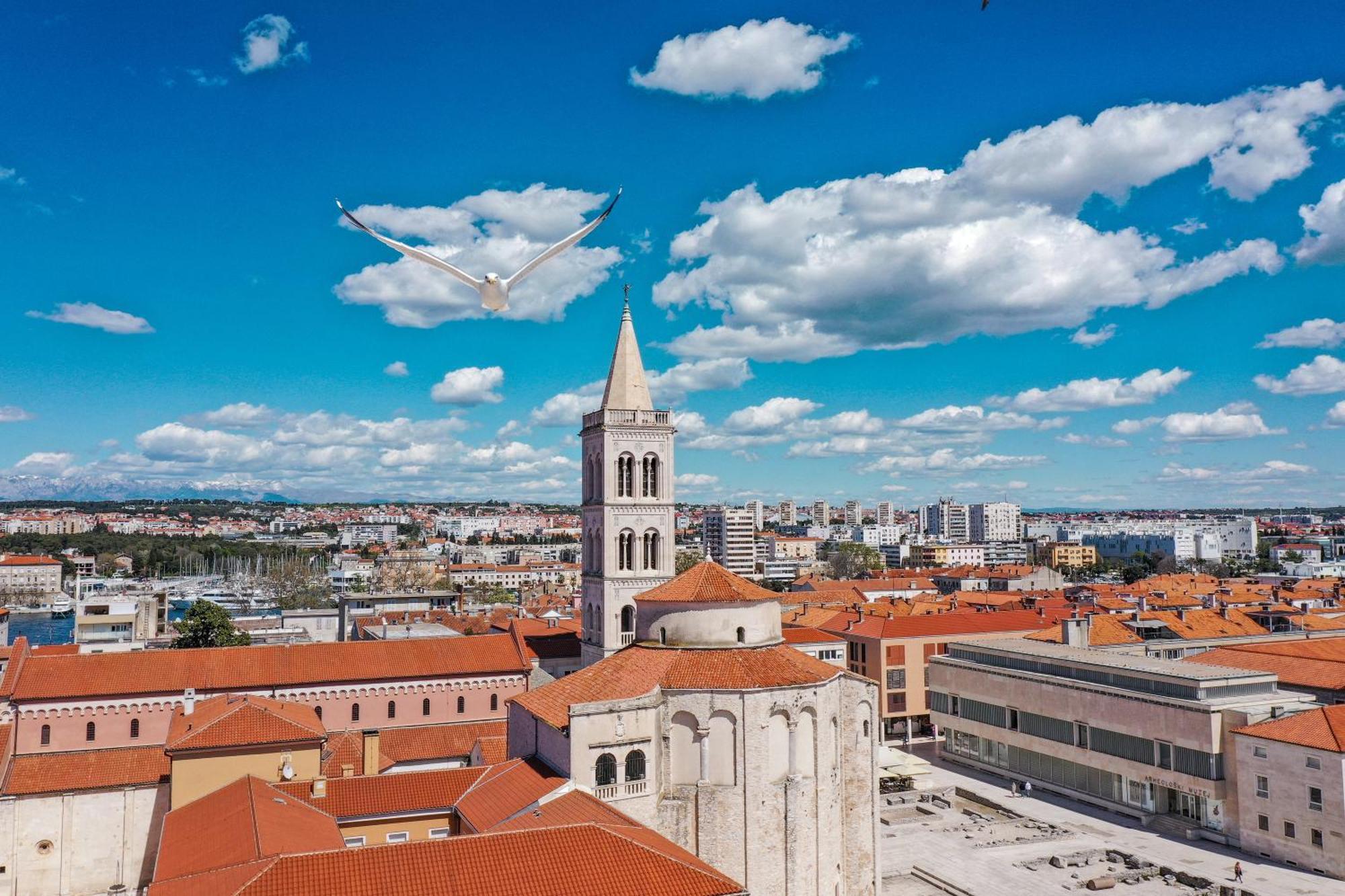 Pavle's Appartement Zadar